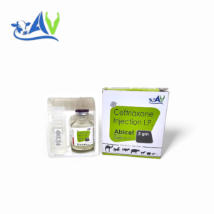 Ceftriaxone Sodium 3 gm Injection