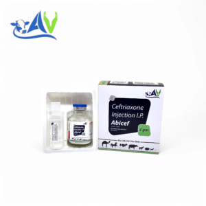 Ceftriaxone Sodium 4 gm Injection