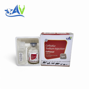 Ceftiofur Sodium 1 gm