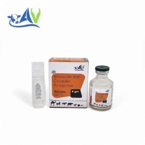 Amoxycillin Sodium 2 gm + Cloxacillin Sodium 2 gm Injection