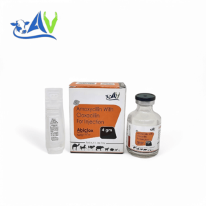 Amoxycillin With Cloxacillin For Injection