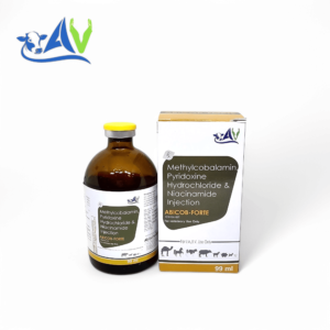 Methylcobalamin, Pyridoxine Hydrochloride & Niacinamide Injection 