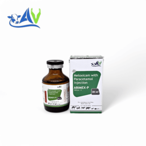 Meloxicam with Paracetamol Injection for Veterinary Use