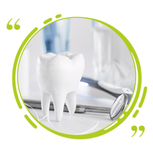 Dental Range